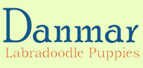 danmarlabradoodles.com Logo